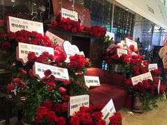 -杂咖zacup(领展中心城店)