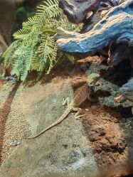 -酷嗒动物文化乐园(cutezoo西溪乐天城店)