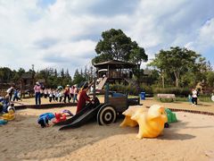 -上海长兴岛郊野公园