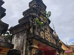 -西双版纳总佛寺