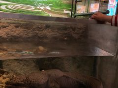 -中国湿地博物馆