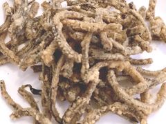 -乐山第一家临江鳝丝(茶坊路店)