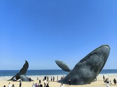 -烟台金沙滩海滨公园