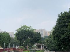 -荔湾湖公园