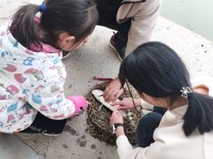 -马楼鱼庄(蓝田)