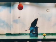 -嘉兴海底世界