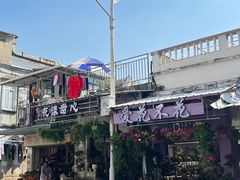 -溪岸路花鸟市场