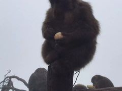 -峨嵋山金顶