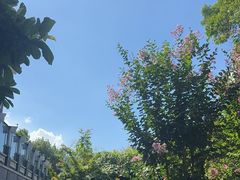 -花锦堂·隐庐