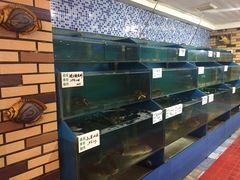 -新龙源大酒店(热河路店)