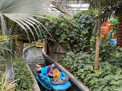 -南宫五洲植物乐园