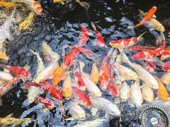 -聚福宝合苑食府(南头镇店)