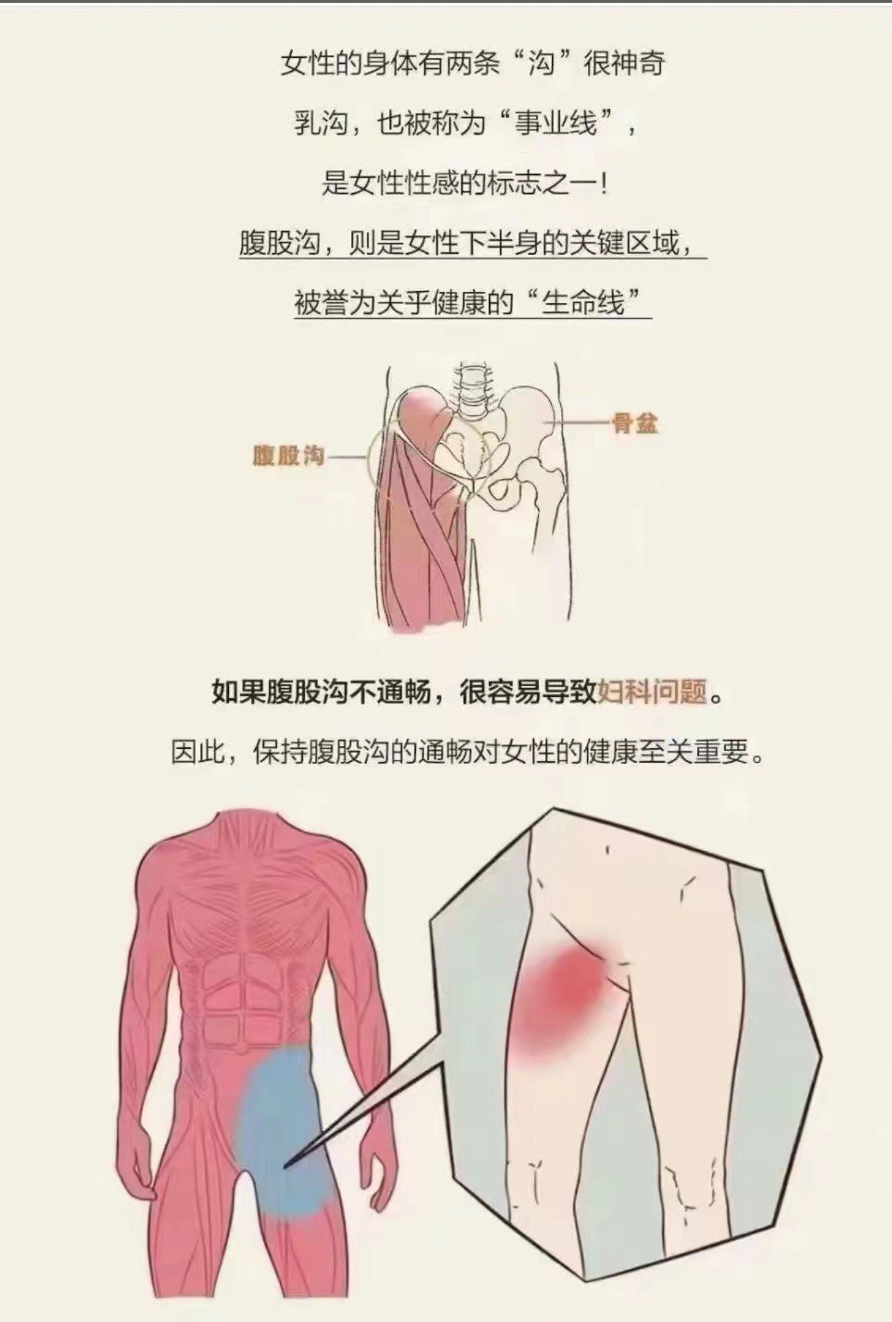 腹股沟--女人下半身的垃圾回收站業
