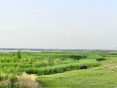 -白洋淀风景区