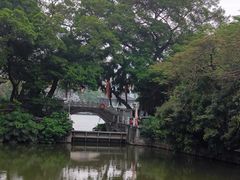 -荔湾湖公园