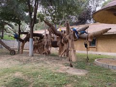 -石家庄市动物园