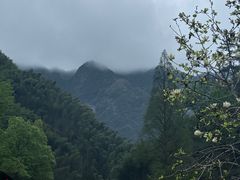 -林坑古村落