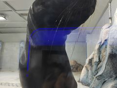 -大连圣亚海洋世界