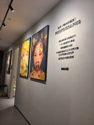 -大树儿童摄影