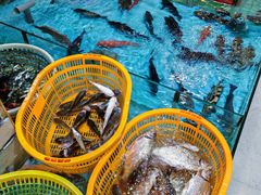 -隆都四季香饭店(碧海路店)