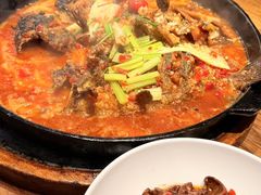 -老板恋上鱼(恒隆广场店)