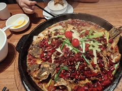 -老板恋上鱼(恒隆广场店)