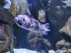 -成都浩海立方海洋公园