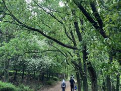 -虞山风景区