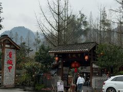 -青城甲(青城山店)