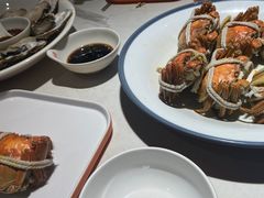 -杨氏青龙虾·羊蝎子(金盛路总店)