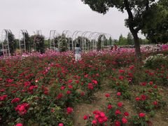 -尚贤河湿地