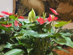 -草原塞蛮羊火锅城(港湾店)