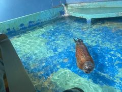 -太平洋海底世界