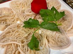 -蜀九香火锅(彩虹店)