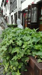 室外-片仔癀国药堂