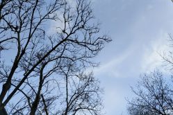 点击看大图 -比尔造型