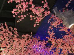 -荷塘秋月·本帮江浙菜(国权路店)