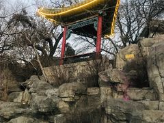-文瀛公园
