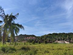 -林旺社区水果市场