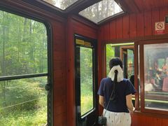 -合肥滨湖国家森林公园