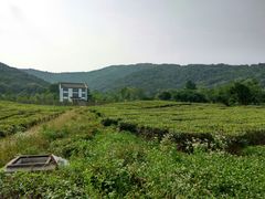 -龙寺生态园