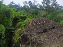 -九曲溪竹筏码头