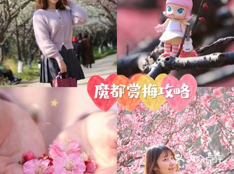 牛年第一波赏花季,世纪公园的梅花开了