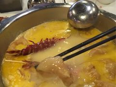 -鲜入围煮花胶鸡海鲜火锅