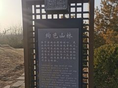 -马家湾湿地公园