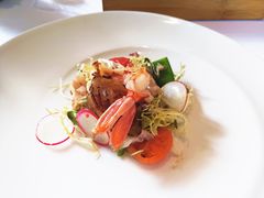 -蝶舍·MAISON PAPILLON