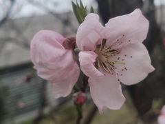 -万达广场(南京建邺店)