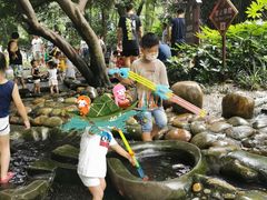 -成都市活水公园