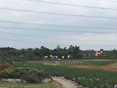 -紫颐香薰山谷景区