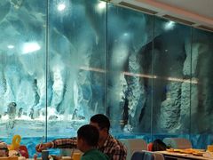 -帝企鹅自助餐厅•儿童岛•真企鹅(长隆企鹅酒店)